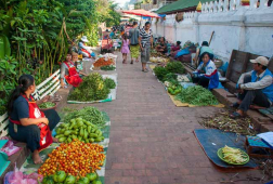 morning market luang prabang
