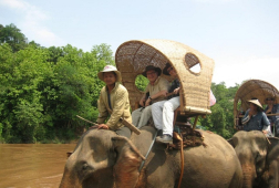 elephant riding in laos